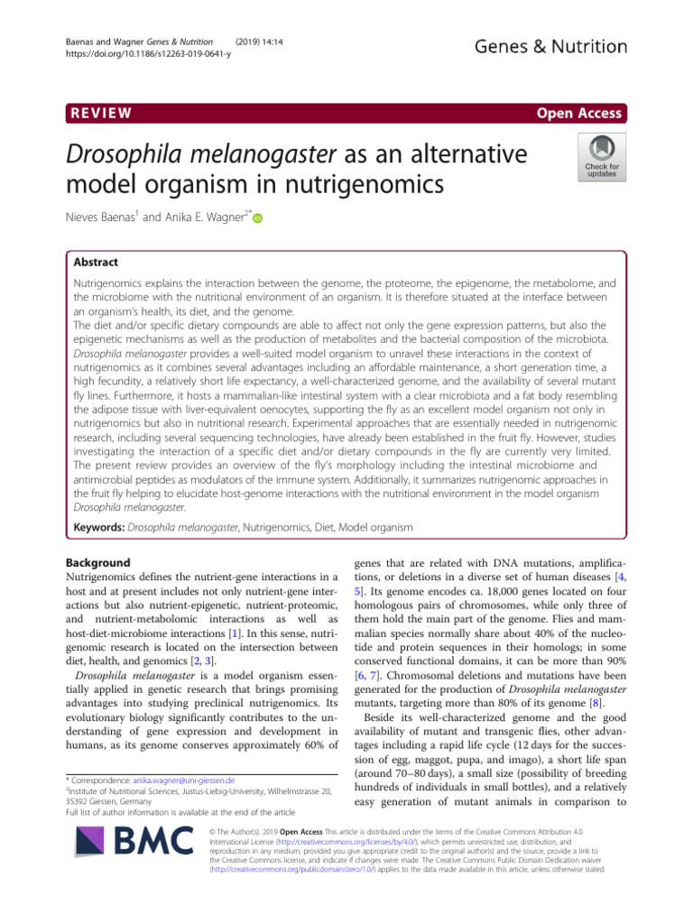 Drosophila melanogaster in Nutrigenomics | PDF | Drosophila ...