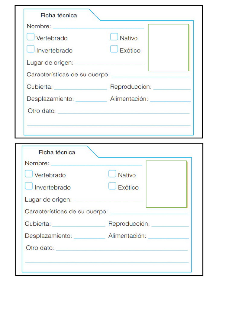 Ficha Tecnica | PDF