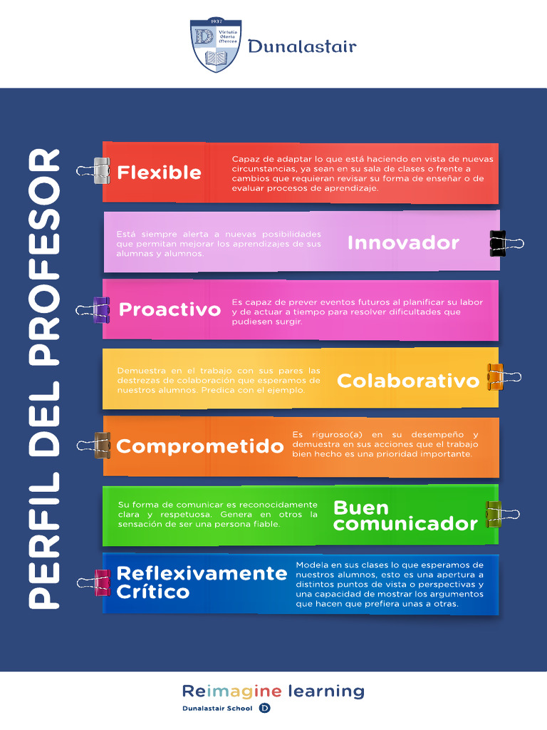 Perfil Del Profesor | PDF