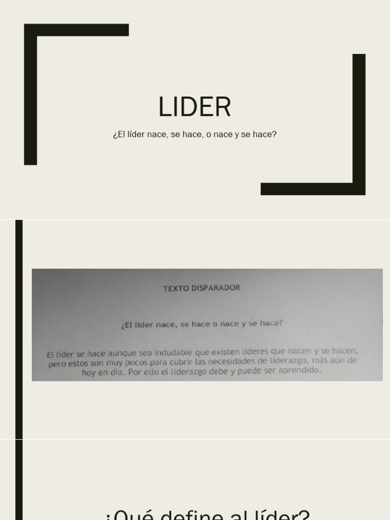 LIDER | PDF