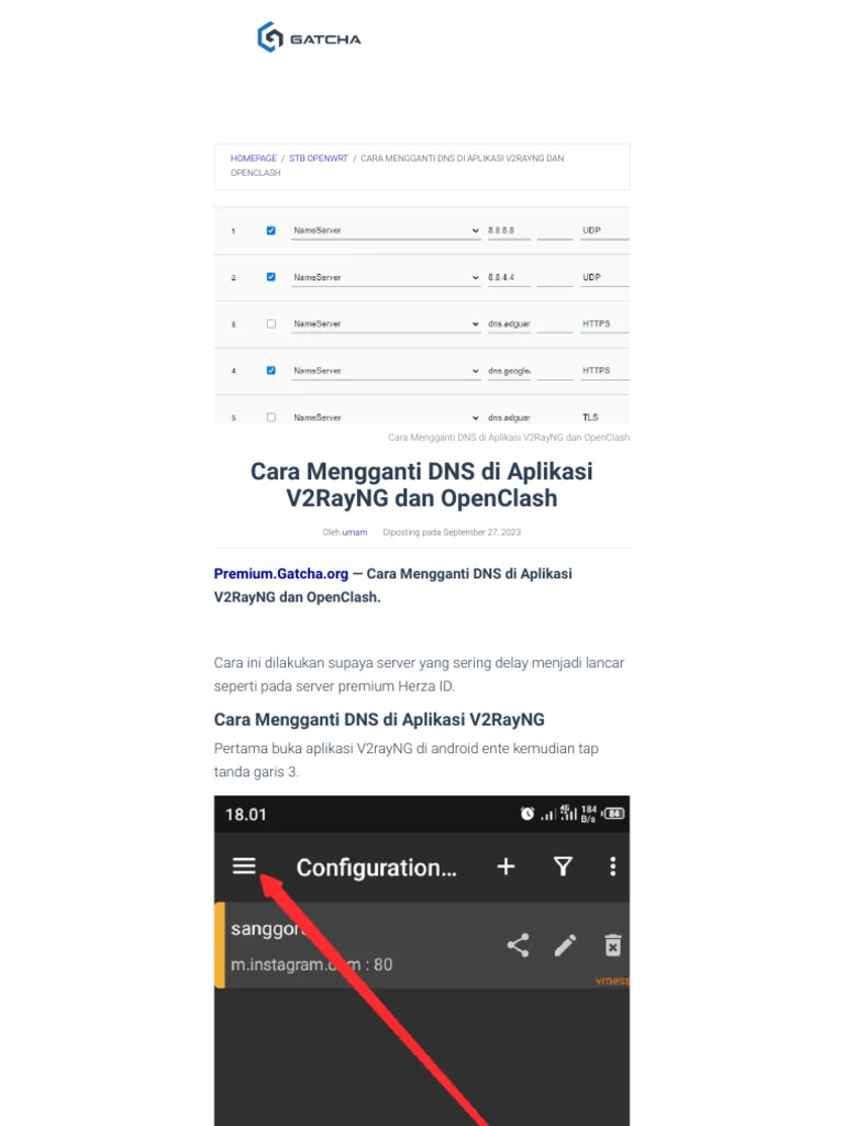 Cara Mengganti DNS Di Aplikasi V2RayNG Dan OpenClash - Premium S | PDF