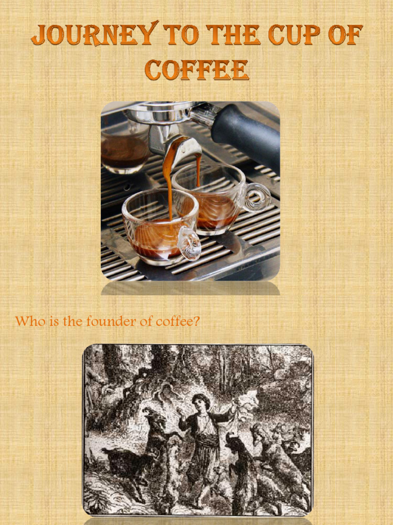 Barista Module: Test Questions & Answers | PDF | Coffee | Drink