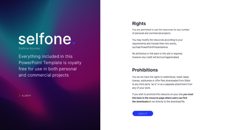 Selfone - License | PDF