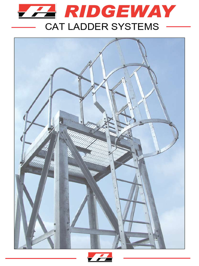 Modular Cat Ladder Systems Guide | PDF