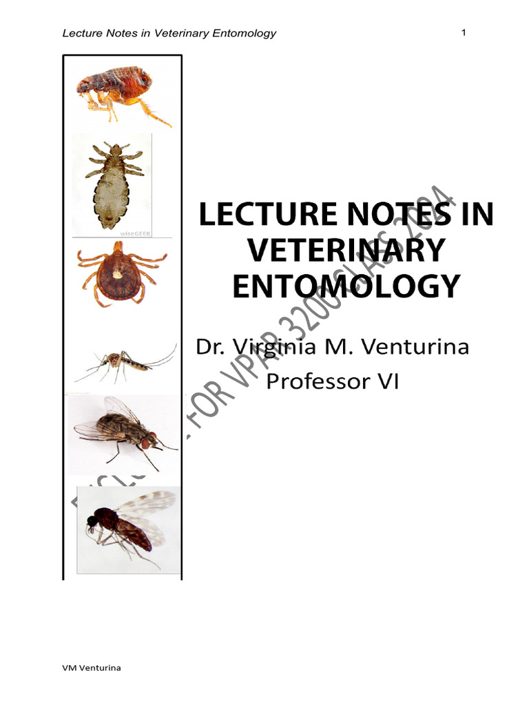VPARA 200 Entom Lecture Notes 2024 Copy | PDF | Pupa | Parasitism