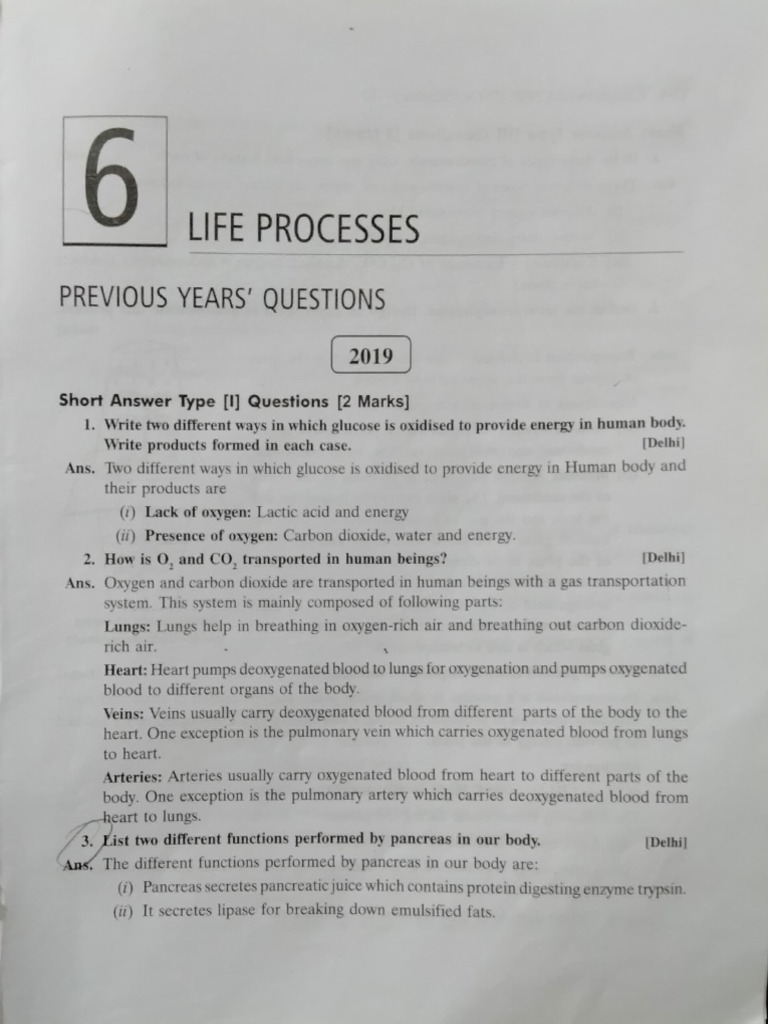 Life Processes: Key Questions & Answers | PDF | Biology | Physiology