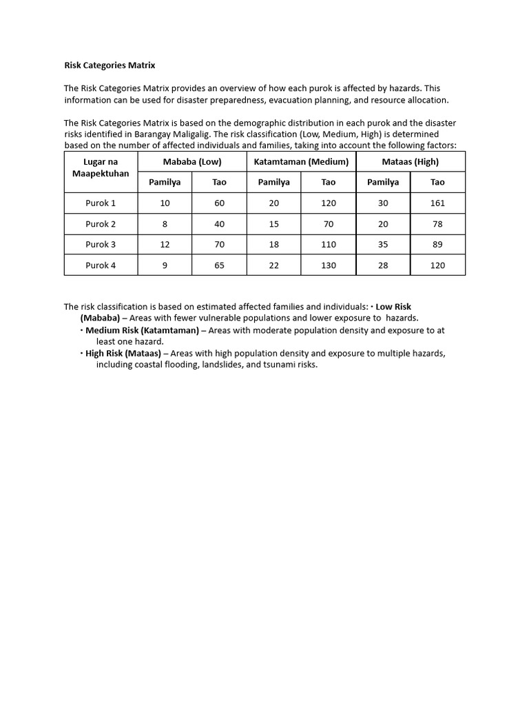 Risk Categories Matrix | PDF