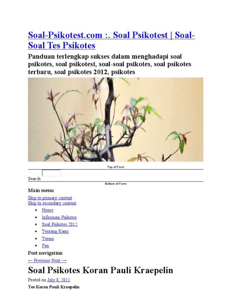 Contoh Psikotes Pauli Kraepelin