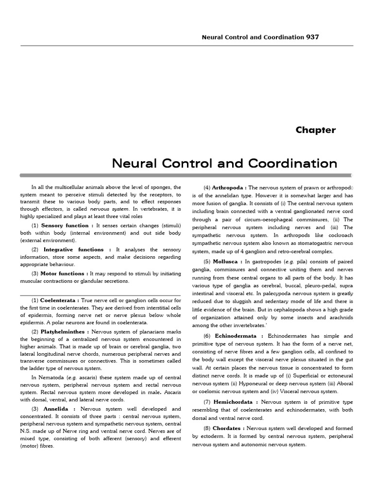 Development of the Nervous System | PDF | Cerebrum | Cerebrospinal Fluid