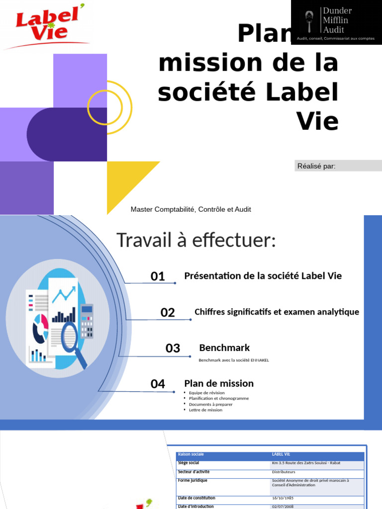 Plan de mission pour Label Vie SA | PDF | Ratio financier | Business