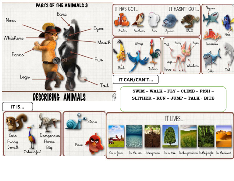 Parts of Animals | PDF