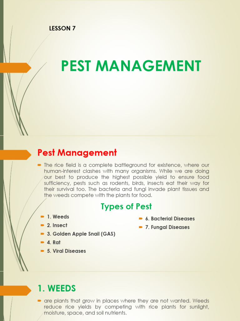 Comprehensive Rice Pest Management Guide | PDF | Biological Pest ...