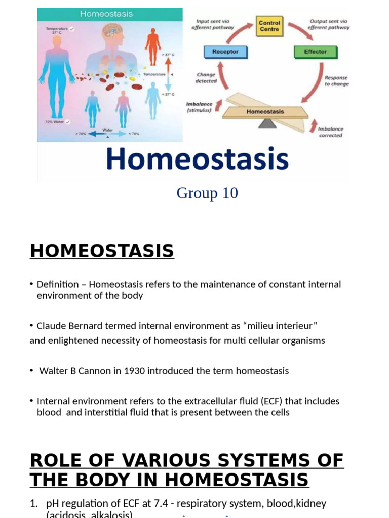 Understanding Homeostasis in Biology | PDF