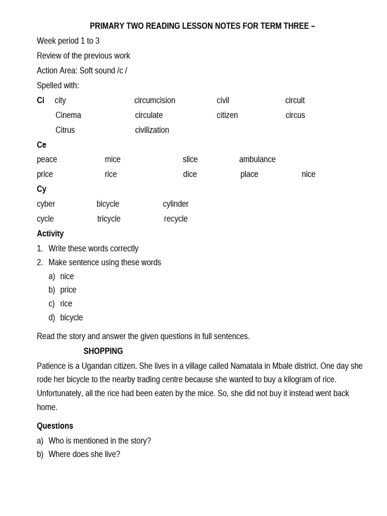 Primary Two Reading Notes Term 3 | PDF