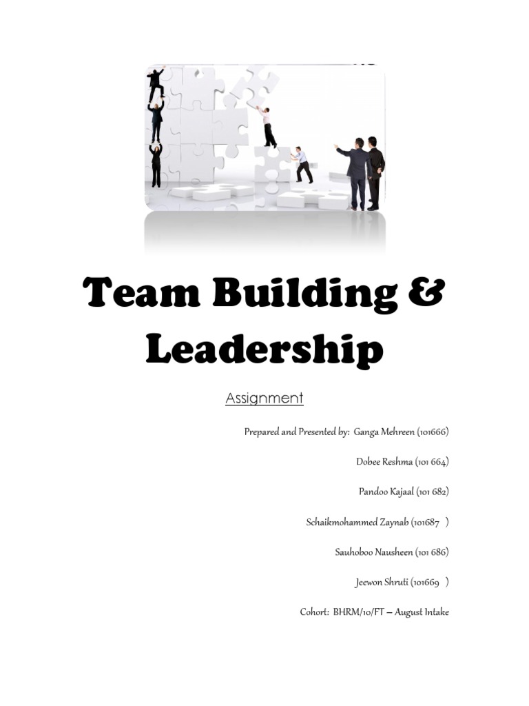 Team Building and Leadership Insights | PDF | Leadership | Motivation