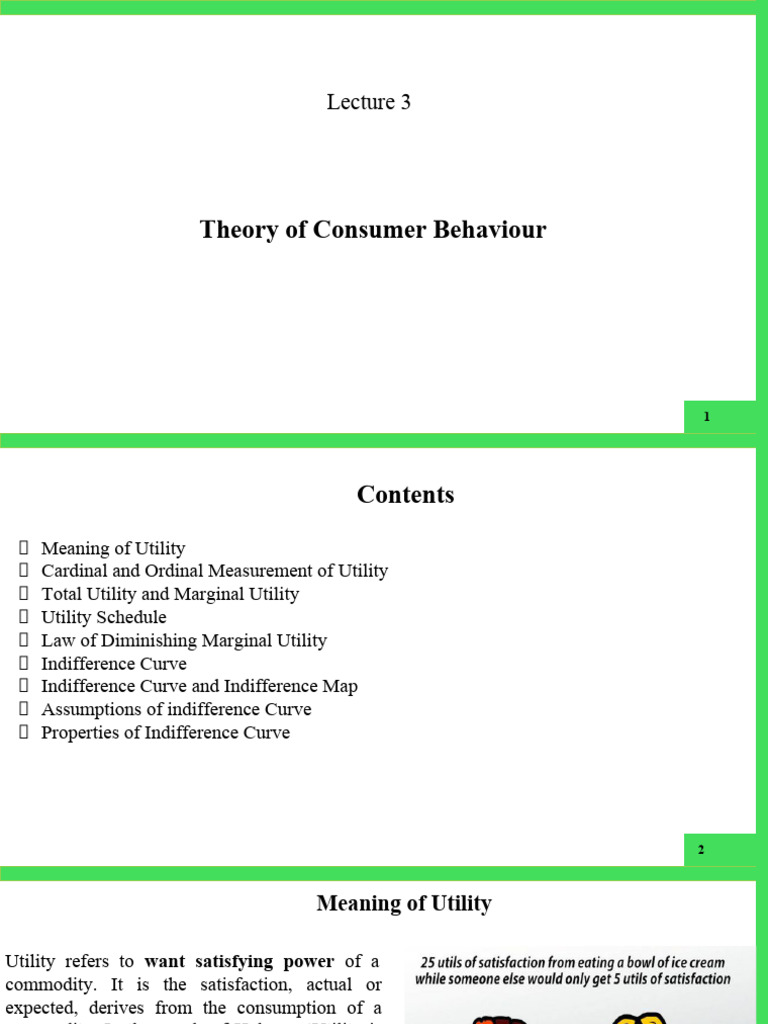 Understanding Consumer Behavior Theory | PDF | Utility | Consumers