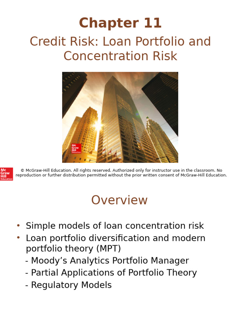 Loan Portfolio Concentration Risk Analysis | PDF | Financial Risk ...