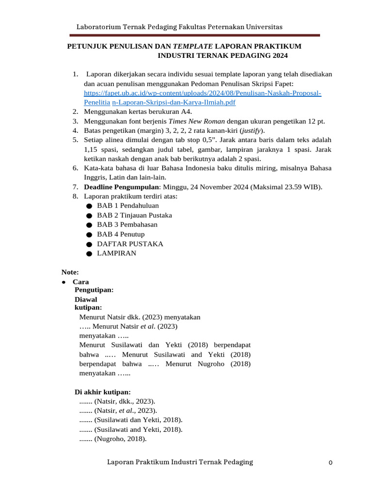 DBL Laporan Itp | PDF