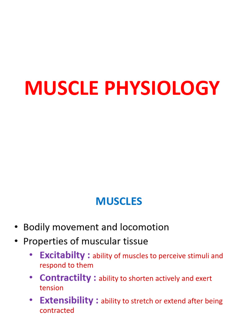 Understanding Muscle Physiology and Function | PDF | Muscle Contraction ...
