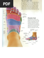 Download Reflexology Charts by Sonia Parkinson SN83756239 doc pdf