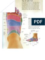 Reflexology Charts