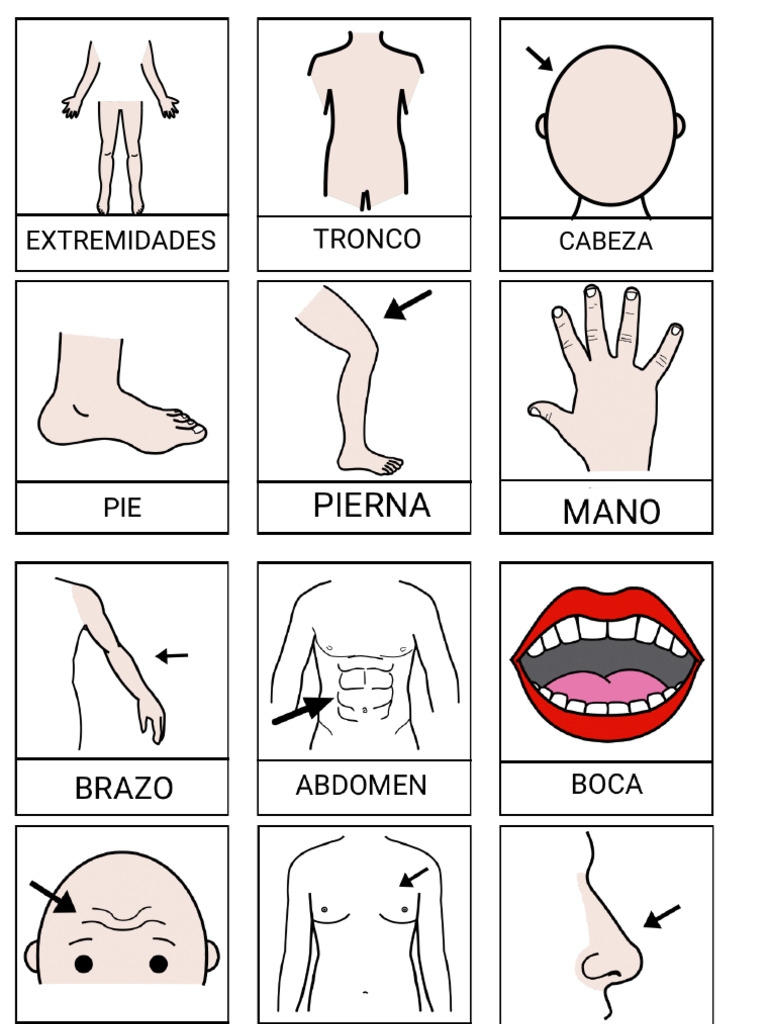 Pictos | PDF