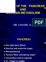 Anatomy of The Pancreas and Bilirubin Metabolism