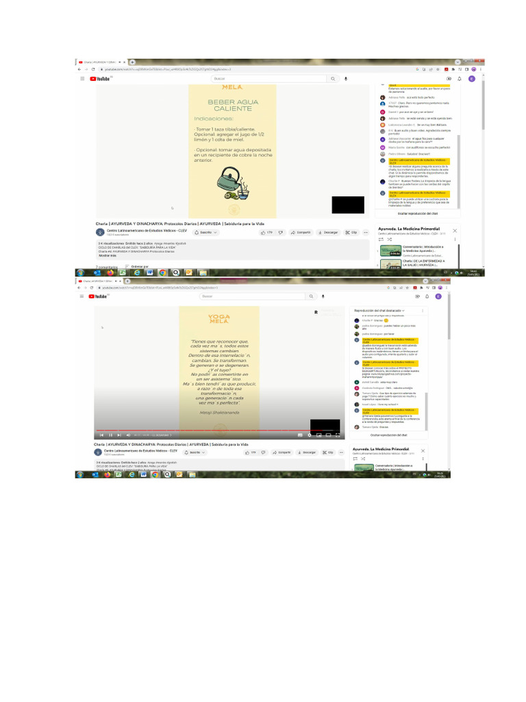 AYURVEDA 2 visual data 3