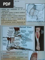 MTP and IP Joint Overview in Foot | PDF | Foot | Toe