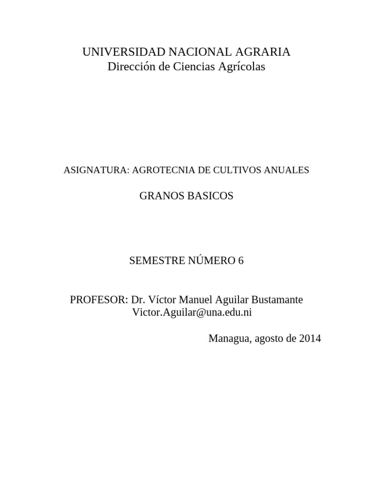 Granos Básicos en Nicaragua: Cultivo y Producción | PDF | Maíz | Arroz
