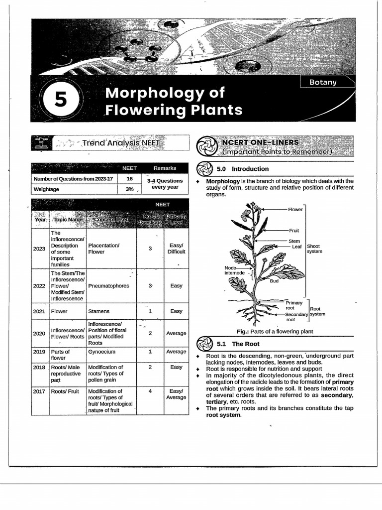 Edoc 2934 22413 | PDF