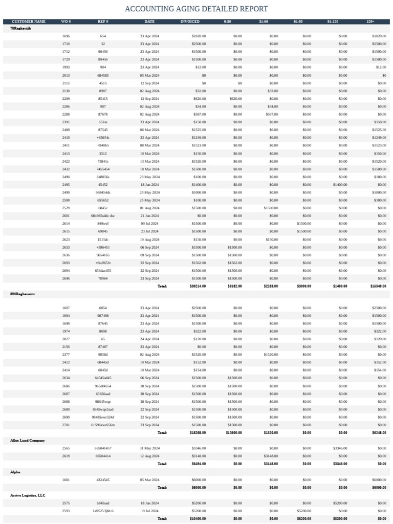 Aging Detailed Report Pdf