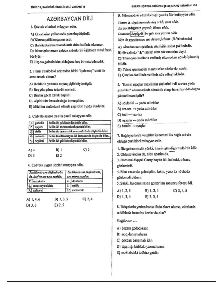 ACE Scanner Document Overview | PDF