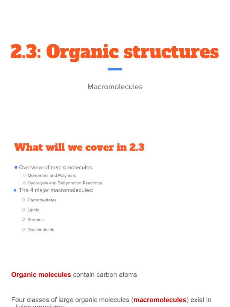Copy of 2.3 - Organic Structures Introduction and Carbohydrates | PDF ...