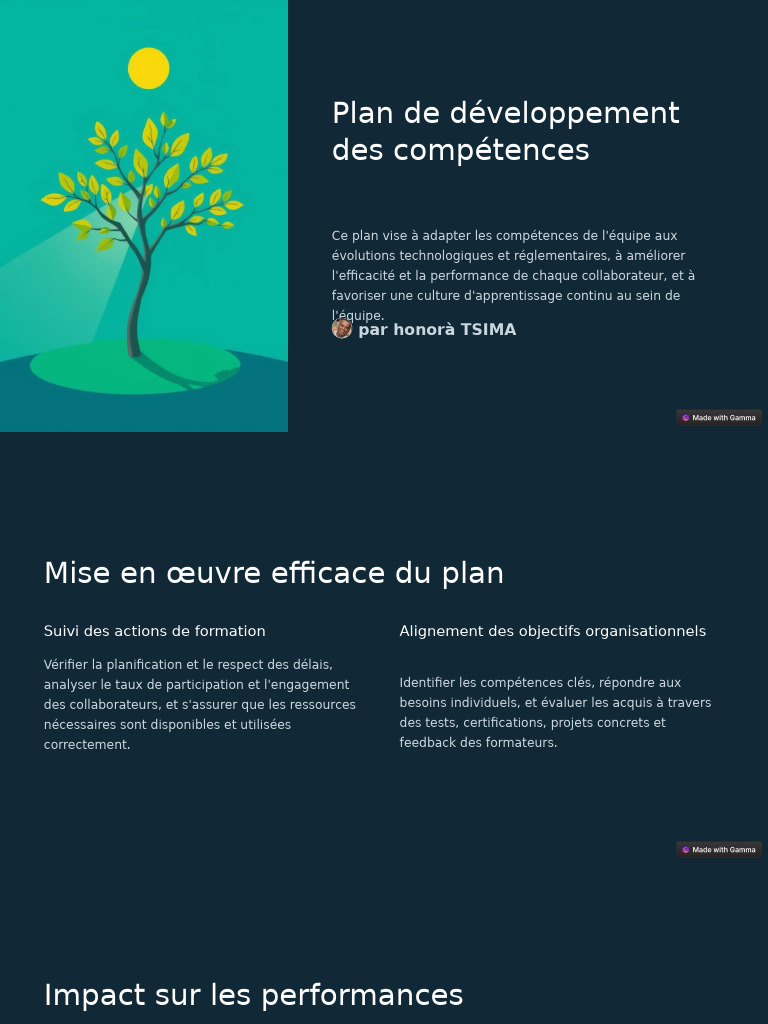 Plan de Développement des Compétences | PDF