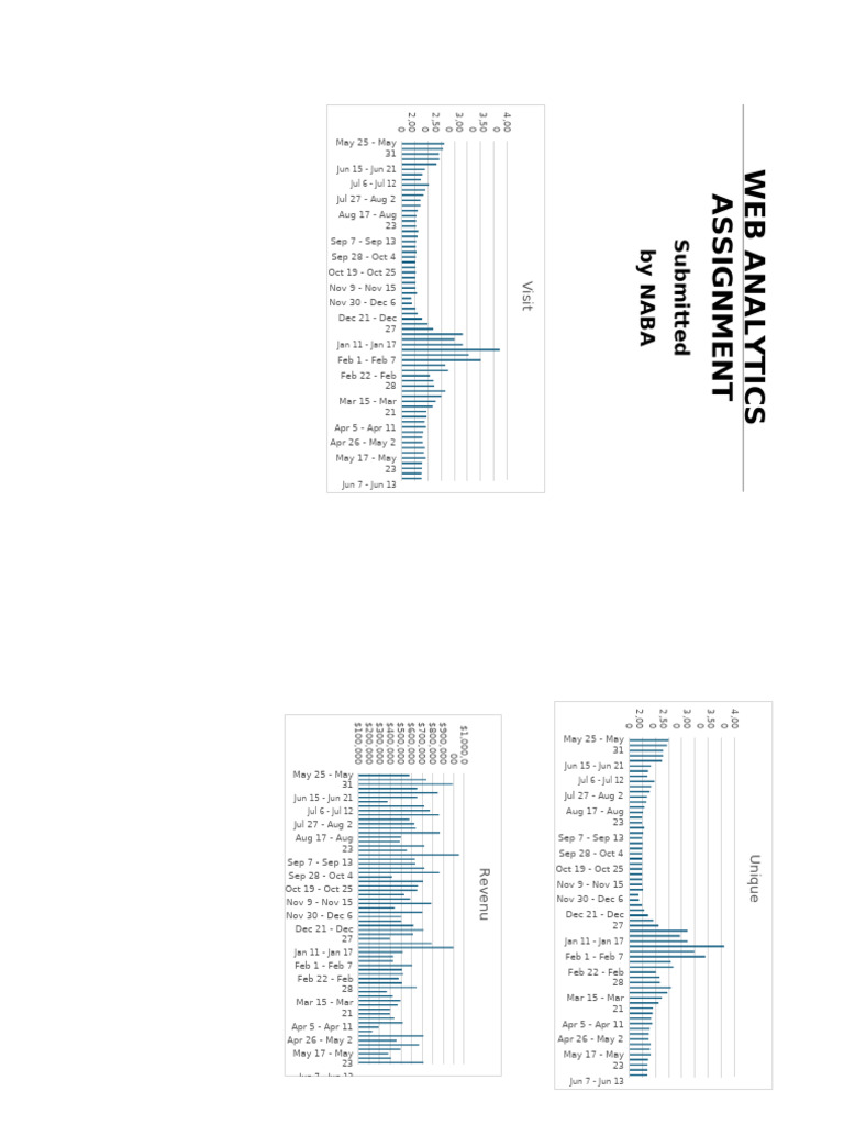 Web Analytics Assignment Insights | PDF | Marketing | Return On Investment