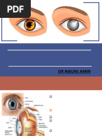 NS Grading of Cataract | PDF