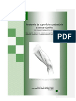 Anatomia de Superfície e Palpatória Da Coxa e Joelho - Prof. Me. Leandro Nobeschi