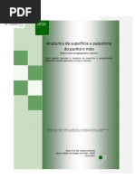 Anatomia de superfície e palpatória do punho e mão - Prof. Me. Leandro Nobeschi