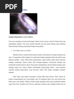 Download Teori Terjadinya Tata Surya by putri333 SN83769732 doc pdf