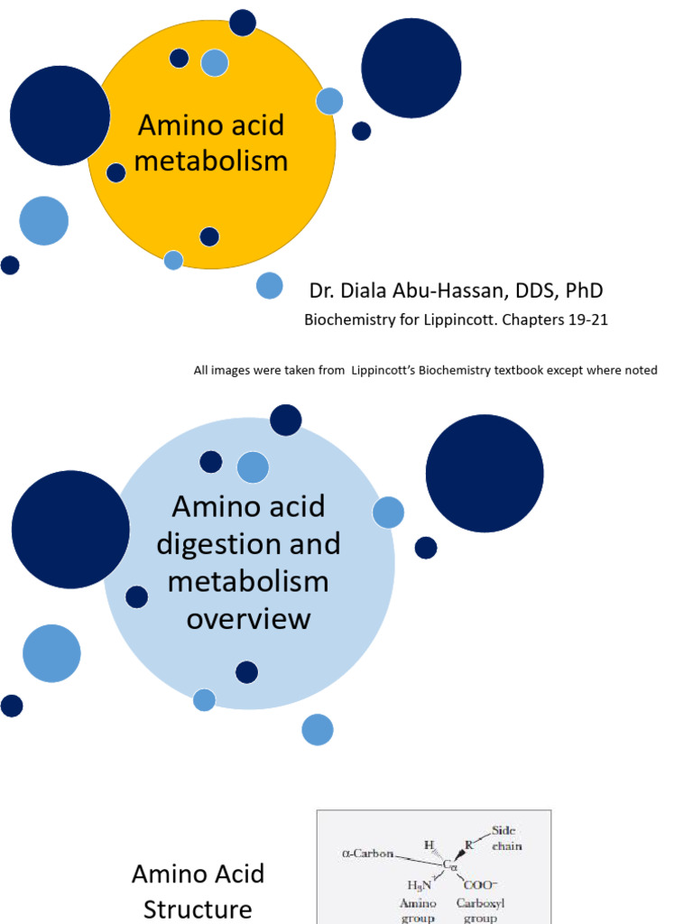 Overview of Amino Acid Metabolism | PDF | Amino Acid | Biosynthesis