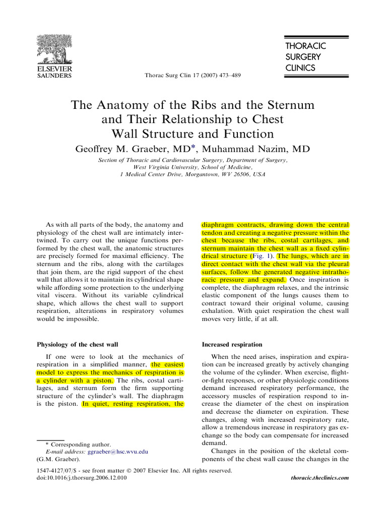 Anatomy of Ribs and Sternum Functions | PDF | Vertebra | Thorax