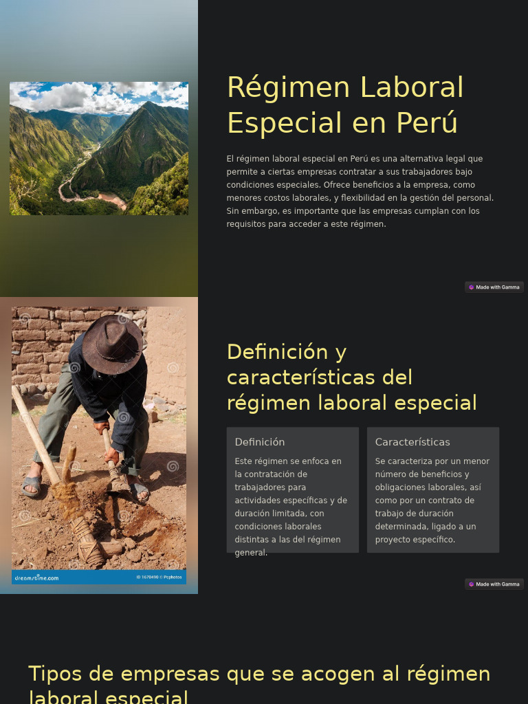 Régimen Laboral Especial en Perú | PDF | Derecho laboral | Business