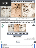 Apostila Osteologia Membro Torácico Equino 2 Pdf Sistema