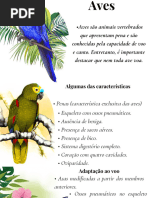 Diferença entre Ave e Pássaro | PDF | Pena (pássaro) | Aves