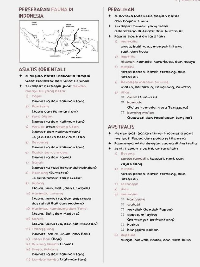 Bio Print A5. | PDF