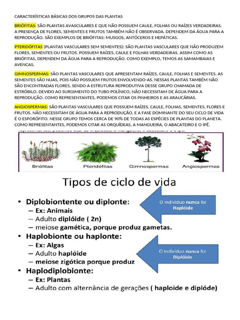 Características Básicas Dos Grupos Das Plantas | PDF