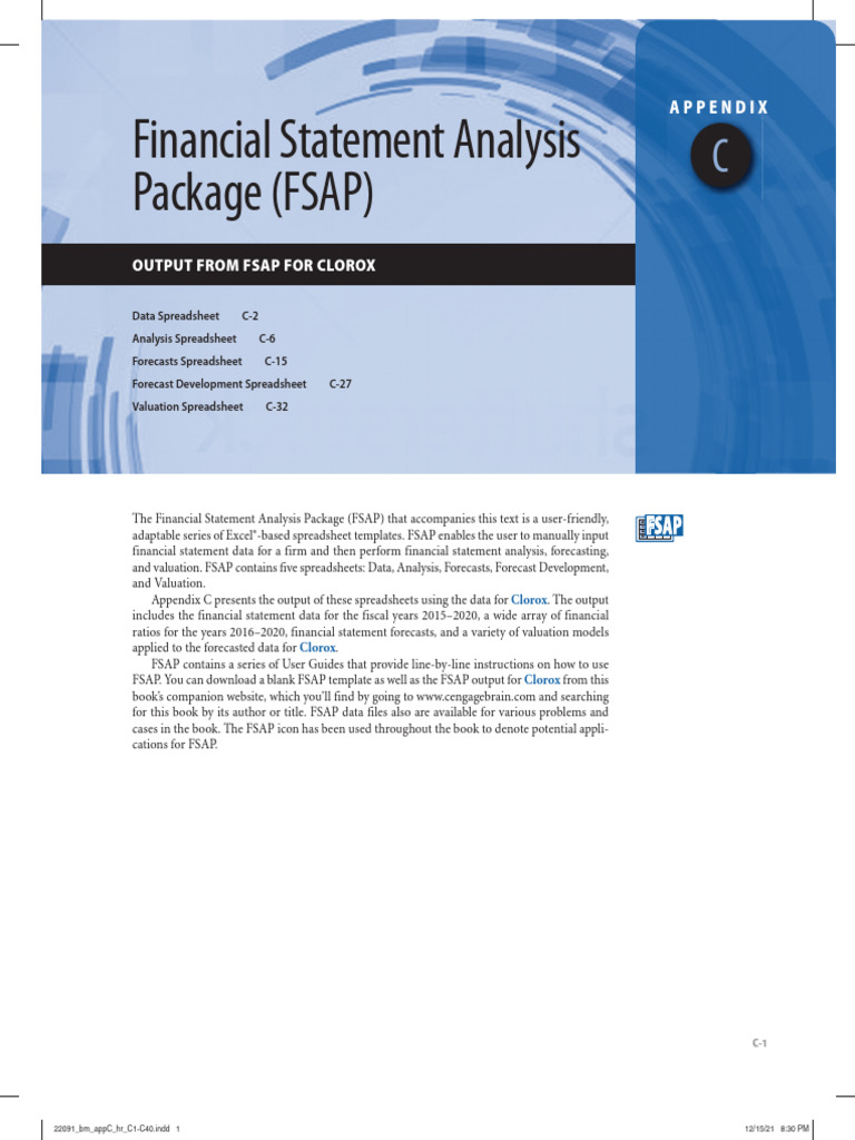 FSAP Clorox | PDF | Equity (Finance) | Revenue
