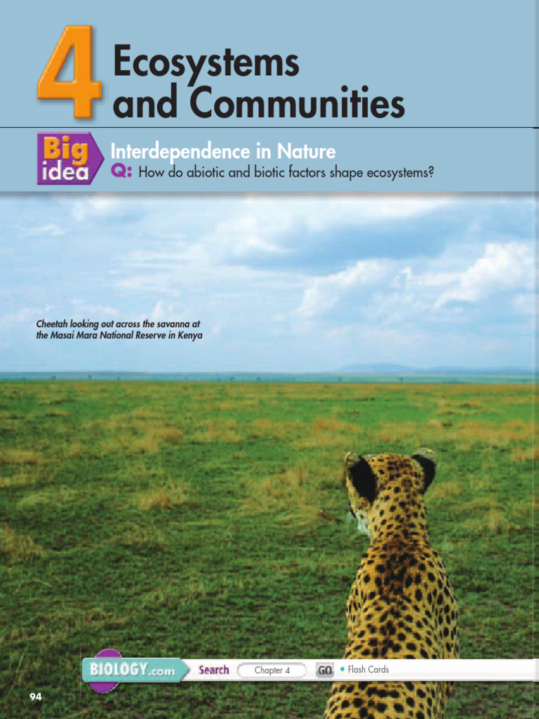 Ecosystem Interactions and Climate Factors | PDF | Greenhouse Effect ...