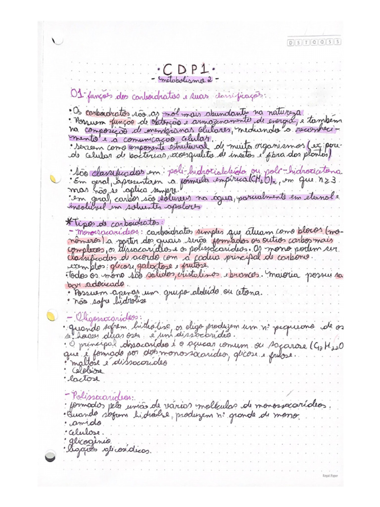 CDP 1 Met 2 | PDF